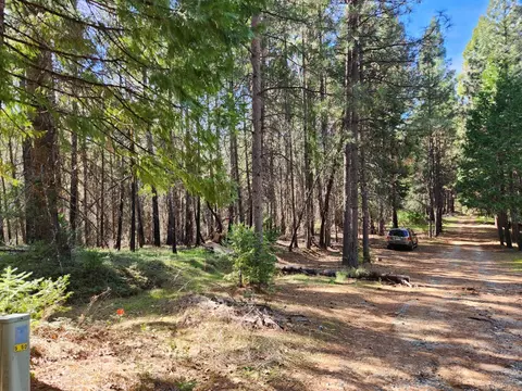 5303 Old Mine Rd, Grizzly Flats, CA 95636