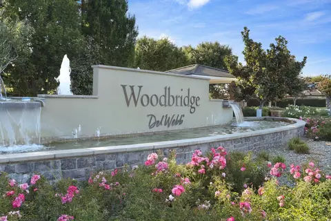 View/Area - 2439 Appleleaf Ln, Manteca, CA 95336 photo 5 of 17