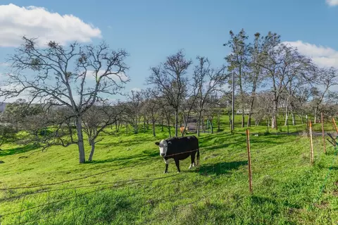 Other - 3653 Chuckwagon Dr, Copperopolis, CA 95228 photo 1 of 15