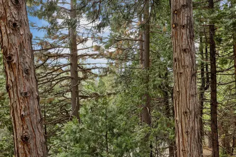 Other - 25489 Bambi Ln, Long Barn, CA 95335 photo 4 of 5
