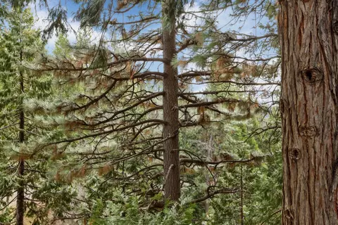 Other - 25489 Bambi Ln, Long Barn, CA 95335 photo 5 of 5