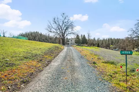 4790 Double Tree Ln, Placerville, CA 95667 photo 49