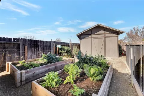 Exterior - 2634 Madrone St, Sutter, CA 95982 photo 19 of 43