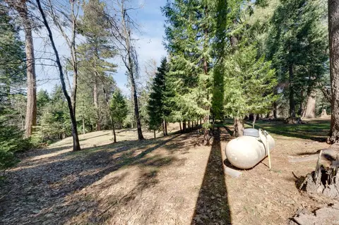 Exterior - 4468 Bushwacker Ln, Pollock Pines, CA 95726 photo 31 of 32