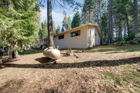 Exterior - 4468 Bushwacker Ln, Pollock Pines, CA 95726 photo 30 of 32