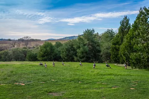 Other - 8560 Bar Crest Dr, Placerville, CA 95667 photo 21 of 26