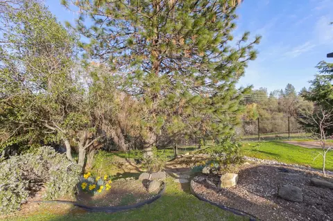 2249 Cold Springs Rd, Placerville, CA 95667 photo 47