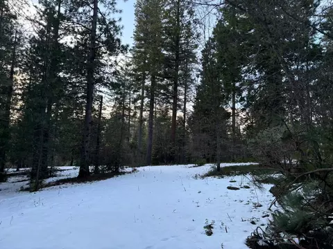 164 Vireo Ct, Avery, CA 95224 photo 17