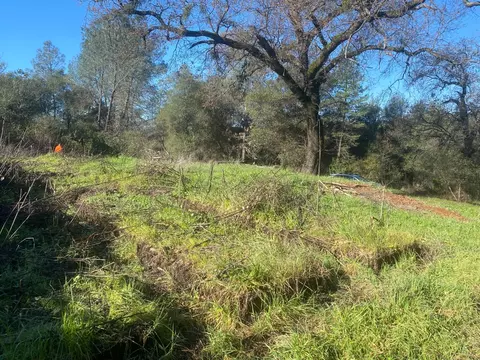 16194 Vierra Rd, Rackerby, CA 95972 photo 5