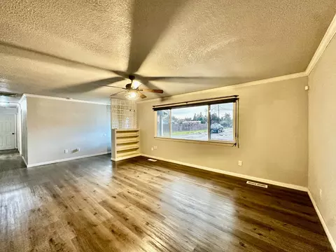 Living - 1253 E Louise Ave, Manteca, CA 95336 photo 3 of 3