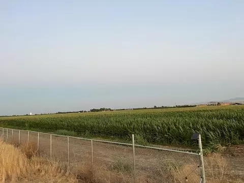 19366 S Lammers Rd, Tracy, CA 95304 photo 3