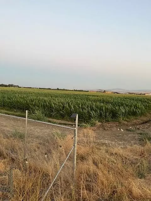 19366 S Lammers Rd, Tracy, CA 95304 photo 2
