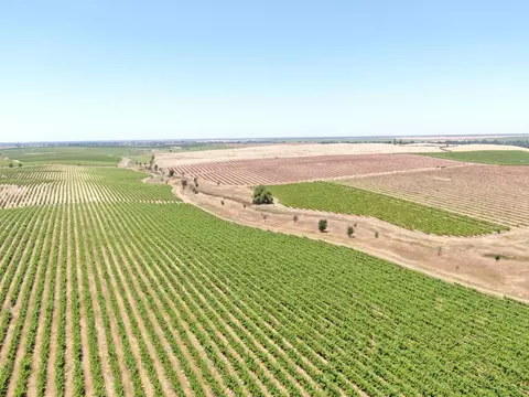 30222 N Mackville Rd, Acampo, CA 95220