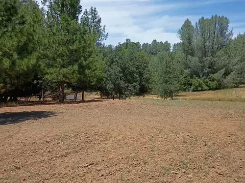 2629 Shilo Dr, Placerville, CA 95667 photo 6