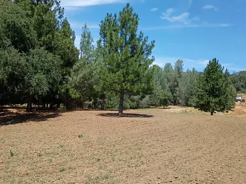 2629 Shilo Dr, Placerville, CA 95667 photo 3