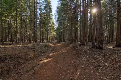 680 Sugar Pine Rd, Alta, CA 95701
