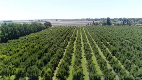 0 River Rd, Courtland, CA 95615