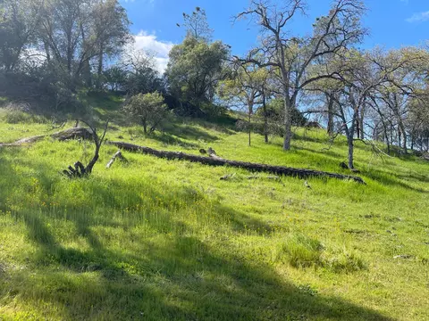 0 Depp Fore4st Dr, Coarsegold, CA 93614