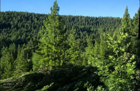 0 Lee Rd, Quincy, CA 95971