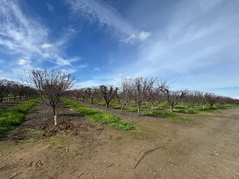 6722 Bryden Rd, Marysville, CA 95901
