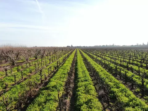 5954 E Hogan, Lodi, CA 95240 photo 11