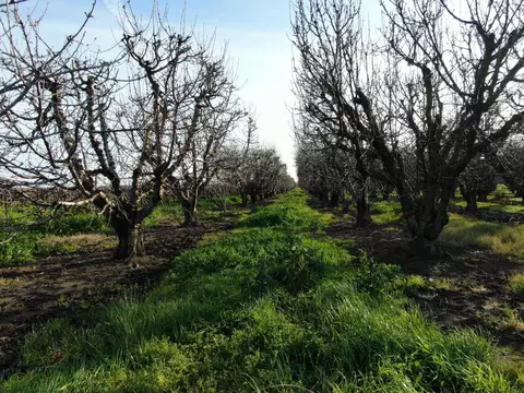 5954 E Hogan, Lodi, CA 95240 photo 12
