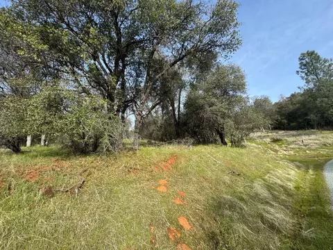 0 Whitto Mine Rd, Sonora, CA 95370 photo 2