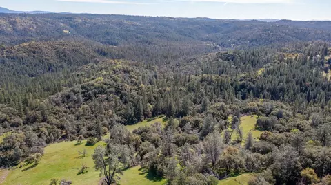 18800 Charleston Rd, Volcano, CA 95689 photo 34