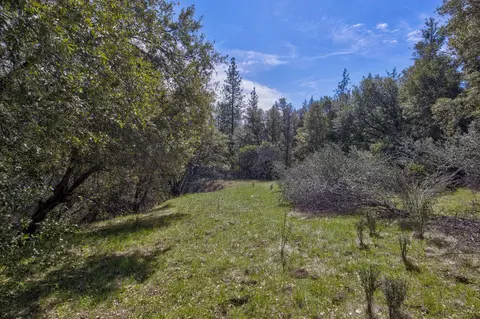 18800 Charleston Rd, Volcano, CA 95689 photo 26