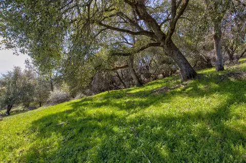 18800 Charleston Rd, Volcano, CA 95689 photo 22