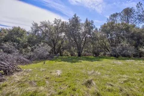 18800 Charleston Rd, Volcano, CA 95689 photo 7