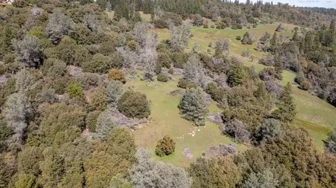 18800 Charleston Rd, Volcano, CA 95689 photo 38
