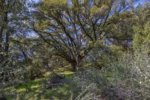 18800 Charleston Rd, Volcano, CA 95689 photo 30