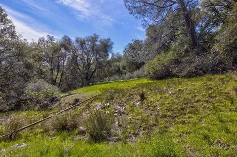 18800 Charleston Rd, Volcano, CA 95689 photo 24