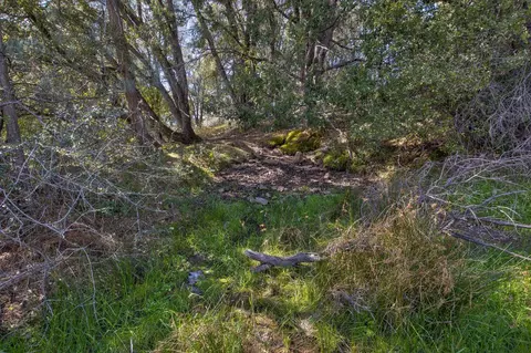 18800 Charleston Rd, Volcano, CA 95689 photo 28