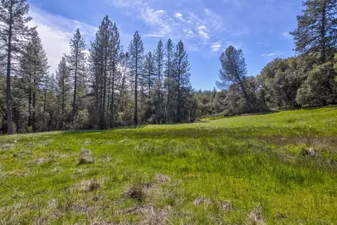 18800 Charleston Rd, Volcano, CA 95689 photo 13