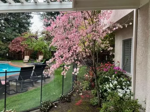 Exterior - 1738 Heirloom Ct, Modesto, CA 95357 photo 17 of 25