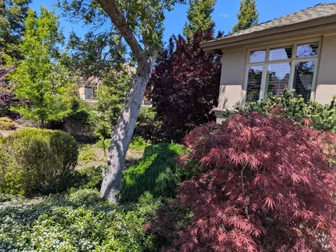 Exterior - 50 Knolls Ct, Copperopolis, CA 95228 photo 14 of 16