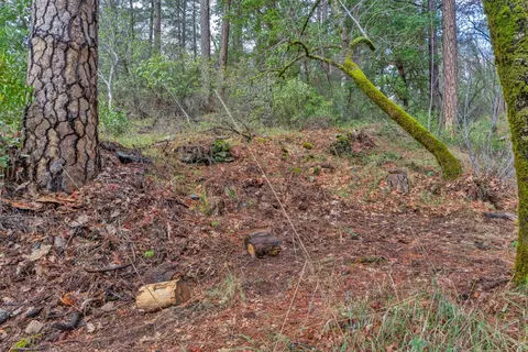 15 Old Vineyard, Placerville, CA 95667 photo 10