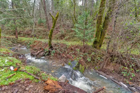 15 Old Vineyard, Placerville, CA 95667 photo 21