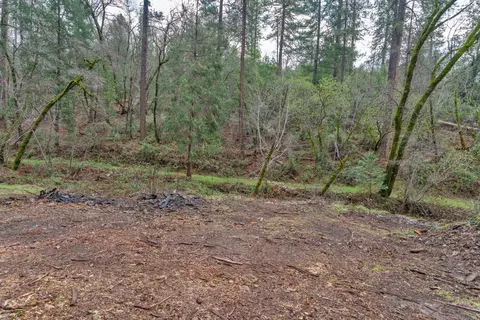 15 Old Vineyard, Placerville, CA 95667 photo 12