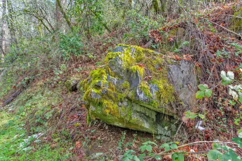 15 Old Vineyard, Placerville, CA 95667 photo 26