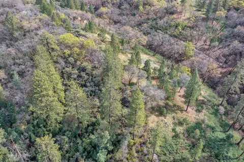 15 Old Vineyard, Placerville, CA 95667 photo 16