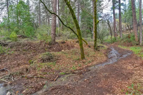 15 Old Vineyard, Placerville, CA 95667 photo 19