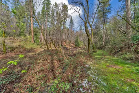 15 Old Vineyard, Placerville, CA 95667 photo 25