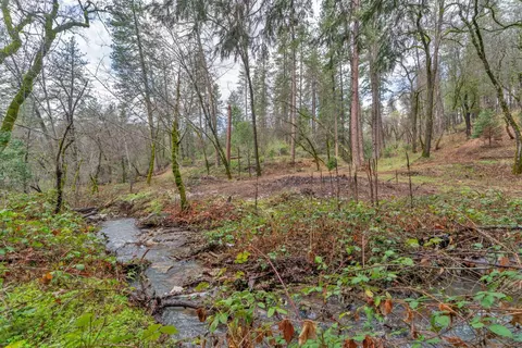 15 Old Vineyard, Placerville, CA 95667 photo 2