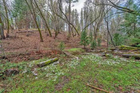 15 Old Vineyard, Placerville, CA 95667 photo 9