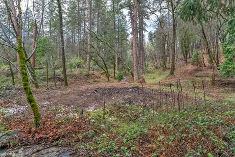 15 Old Vineyard, Placerville, CA 95667 photo 13