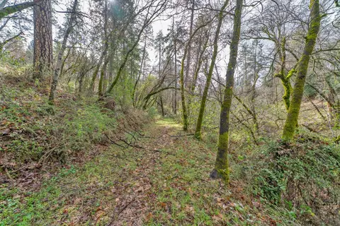 15 Old Vineyard, Placerville, CA 95667 photo 6