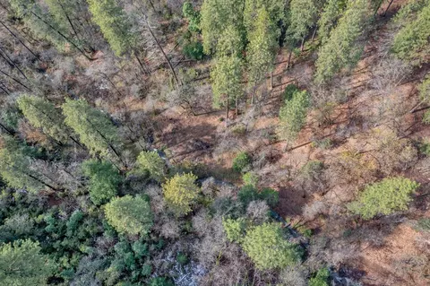 15 Old Vineyard, Placerville, CA 95667 photo 15